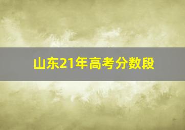 山东21年高考分数段