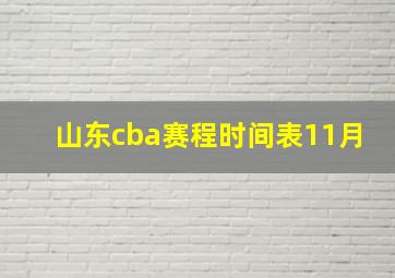 山东cba赛程时间表11月