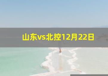 山东vs北控12月22日