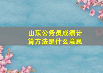 山东公务员成绩计算方法是什么意思