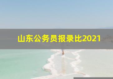 山东公务员报录比2021