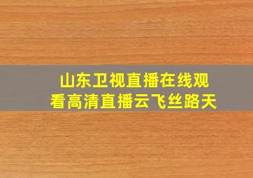 山东卫视直播在线观看高清直播云飞丝路天