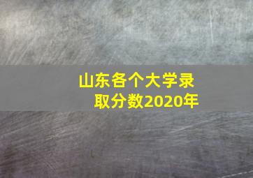 山东各个大学录取分数2020年