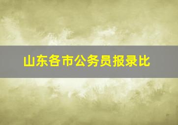 山东各市公务员报录比