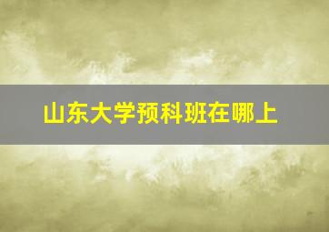 山东大学预科班在哪上