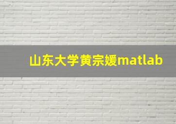 山东大学黄宗媛matlab