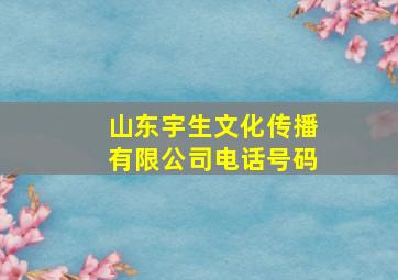 山东宇生文化传播有限公司电话号码