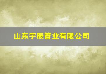 山东宇辰管业有限公司