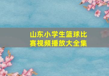 山东小学生篮球比赛视频播放大全集