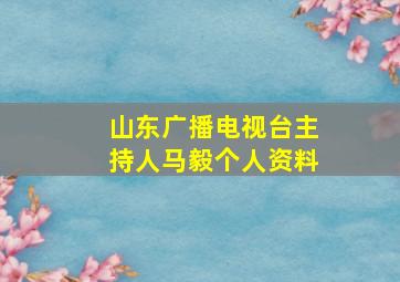 山东广播电视台主持人马毅个人资料