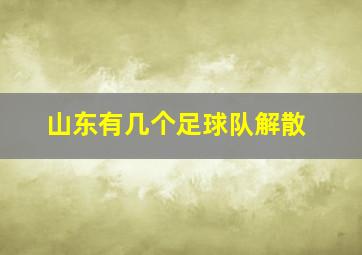 山东有几个足球队解散