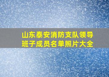 山东泰安消防支队领导班子成员名单照片大全