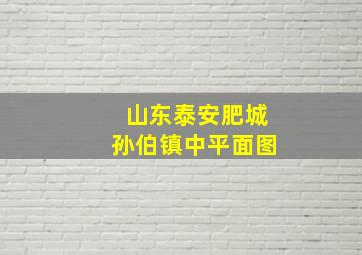 山东泰安肥城孙伯镇中平面图