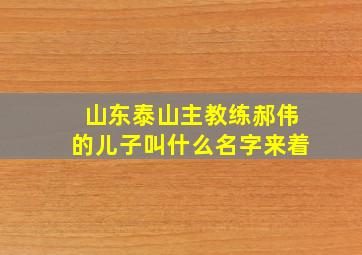 山东泰山主教练郝伟的儿子叫什么名字来着