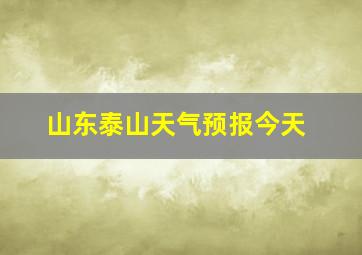 山东泰山天气预报今天