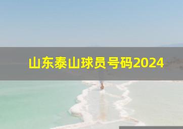 山东泰山球员号码2024