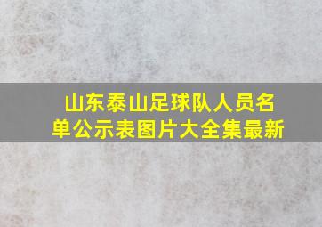 山东泰山足球队人员名单公示表图片大全集最新