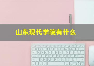 山东现代学院有什么