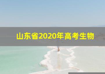 山东省2020年高考生物