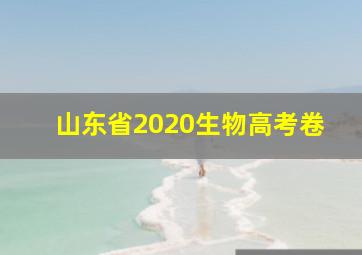 山东省2020生物高考卷