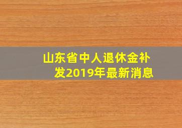 山东省中人退休金补发2019年最新消息