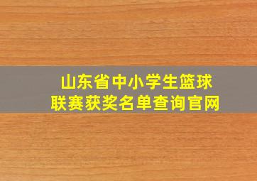 山东省中小学生篮球联赛获奖名单查询官网