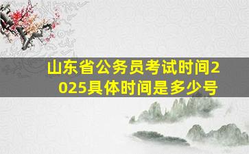 山东省公务员考试时间2025具体时间是多少号