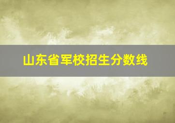 山东省军校招生分数线