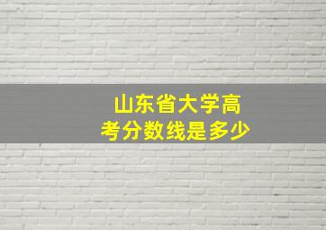 山东省大学高考分数线是多少