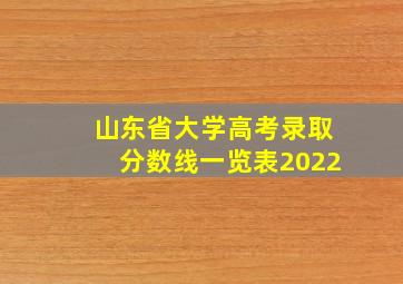 山东省大学高考录取分数线一览表2022