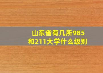 山东省有几所985和211大学什么级别