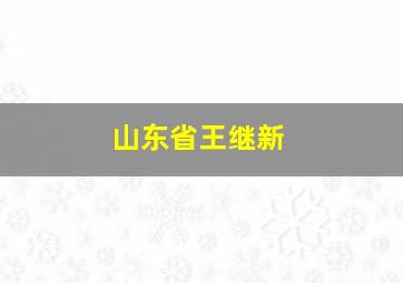 山东省王继新