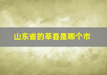 山东省的莘县是哪个市