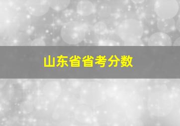 山东省省考分数