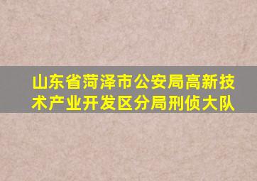 山东省菏泽市公安局高新技术产业开发区分局刑侦大队