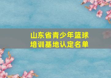 山东省青少年篮球培训基地认定名单