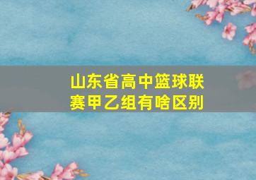 山东省高中篮球联赛甲乙组有啥区别