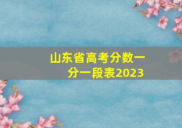 山东省高考分数一分一段表2023