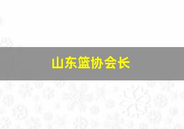 山东篮协会长