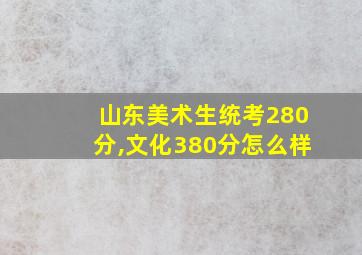 山东美术生统考280分,文化380分怎么样