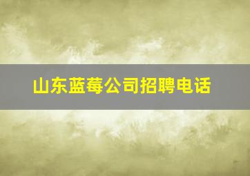 山东蓝莓公司招聘电话