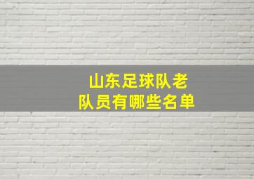 山东足球队老队员有哪些名单