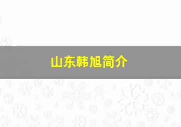 山东韩旭简介