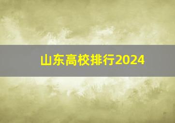 山东高校排行2024