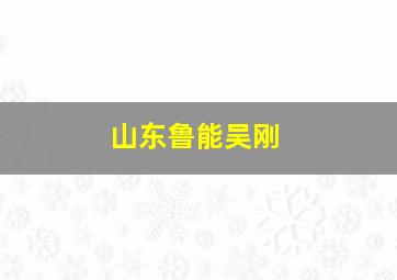 山东鲁能吴刚