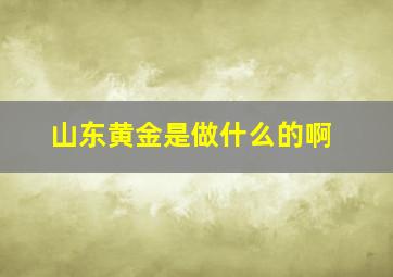 山东黄金是做什么的啊