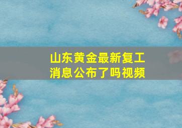 山东黄金最新复工消息公布了吗视频