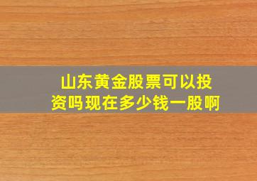 山东黄金股票可以投资吗现在多少钱一股啊