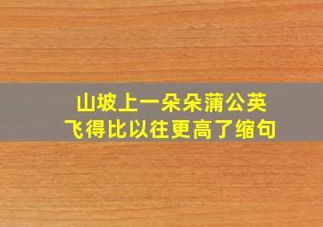 山坡上一朵朵蒲公英飞得比以往更高了缩句