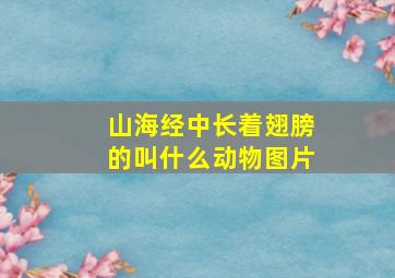 山海经中长着翅膀的叫什么动物图片